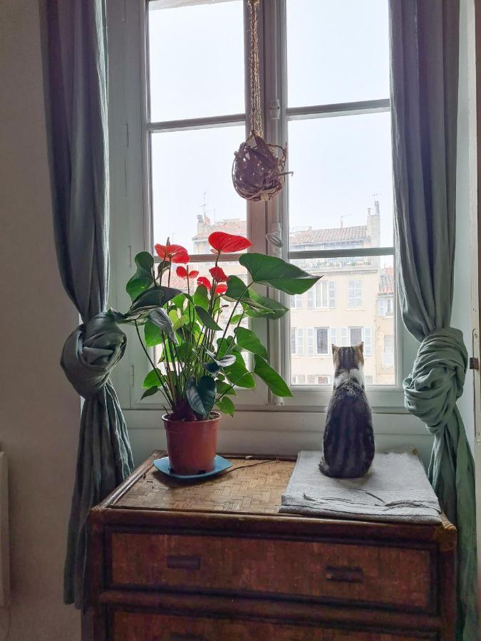 Jolie Chambre Dans Appartement Cosy En Plein Centre Marsilia Exterior foto